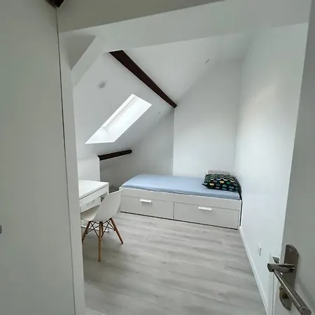 F3 Au Grenier D'une Maison Massy (Essonne)