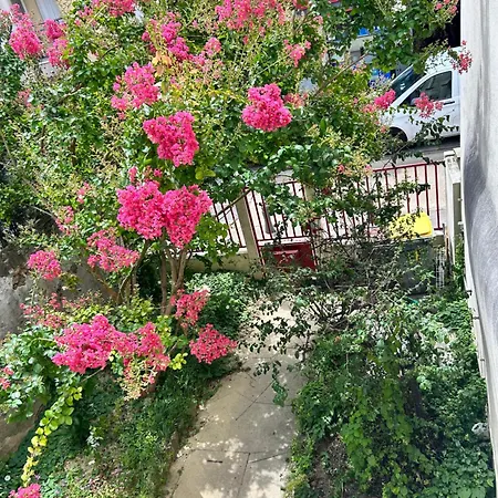 F3 Au Grenier D'une Maison