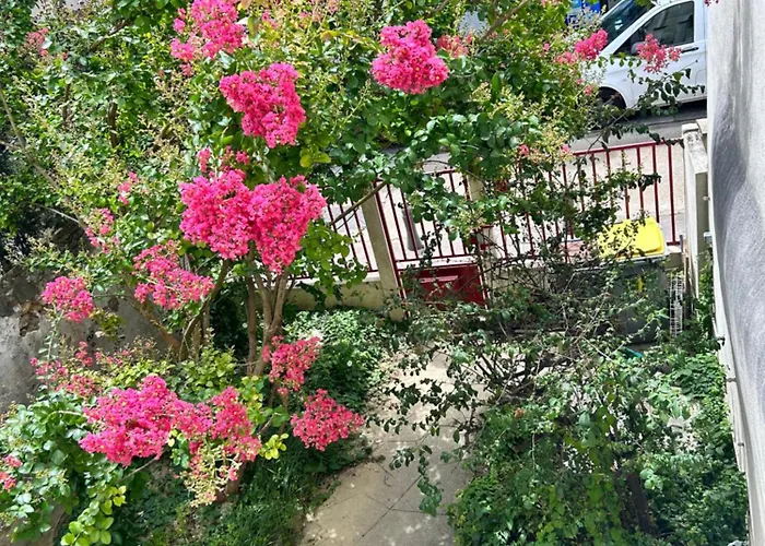 F3 Au Grenier D'une Maison